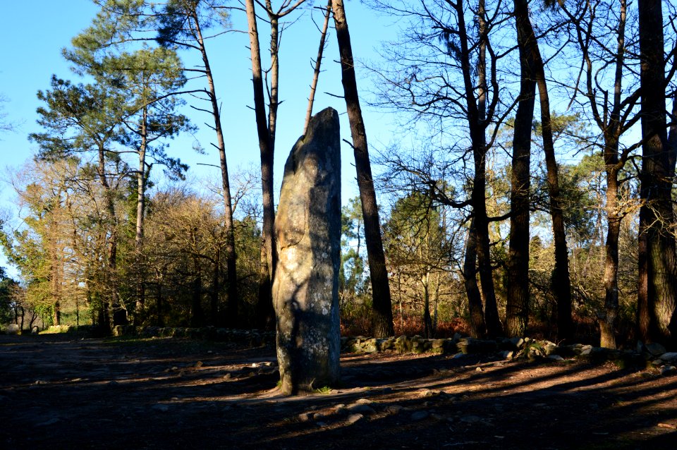 Menhir géant du Manio 2