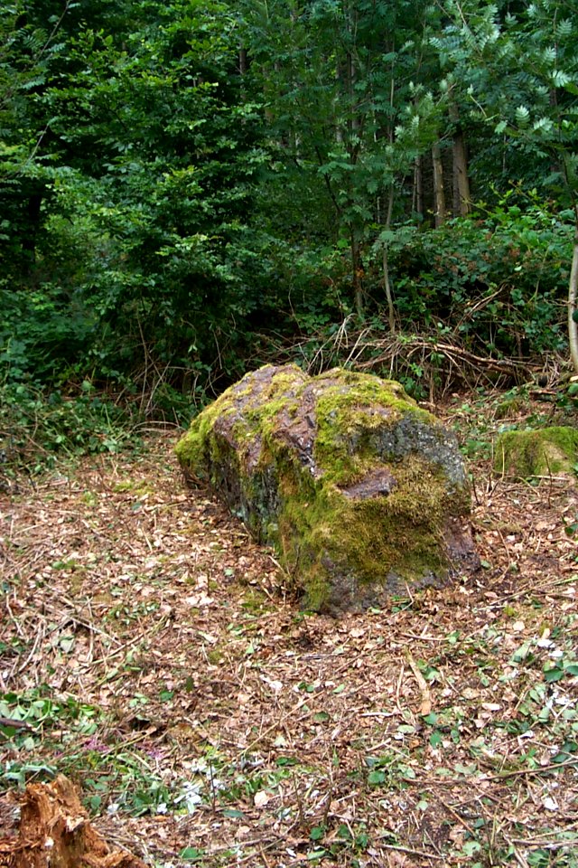Menhir von Farschweiler H2