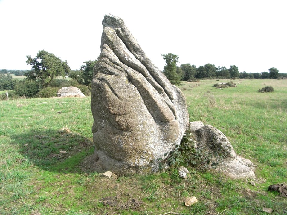 Menhir dit la pierre levée de Charbonneau 02
