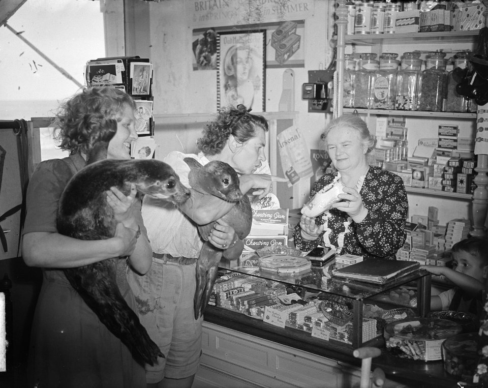 Meneer Sissingh (Vlissingen) met twee zeehondjes in winkel, Bestanddeelnr 904-0791