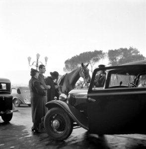 Mensen bij hun auto met in het midden een agent met zijn paard op de Piazza Napo, Bestanddeelnr 191-1274