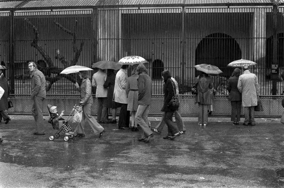 Mensen in de regen in Artis op Hemelvaartsdag, Bestanddeelnr 927-2097
