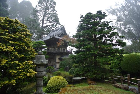 Japanese tea garden japanese garden golden gate park photo