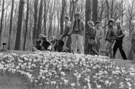 Mensen wandelen langs krokussen op Keukenhof, Bestanddeelnr 933-9433