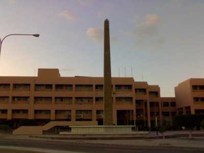 Menoufia Univ.(Sadat City)