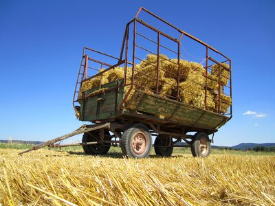 Arable cereals agriculture