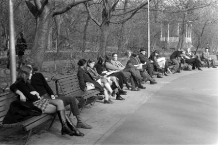 Mensen op bankje in de zon in Vondelpark, Bestanddeelnr 925-4569