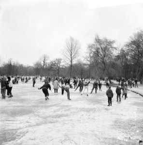 Mensen tijdens het schaatsen in het Vondelpark, Bestanddeelnr 918-4686