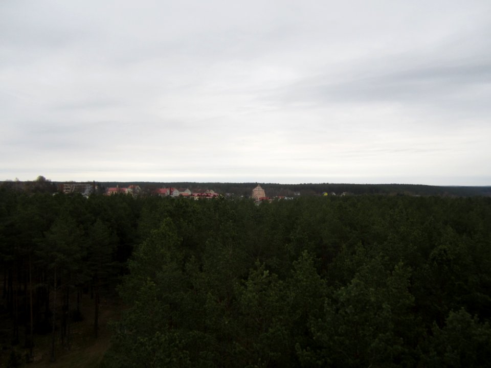 Merkinė from Merkinė Observation Tower, 2016