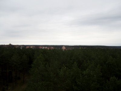 Merkinė from Merkinė Observation Tower, 2016