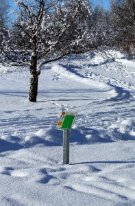 Meri-Toppila Park Oulu 20170307 04