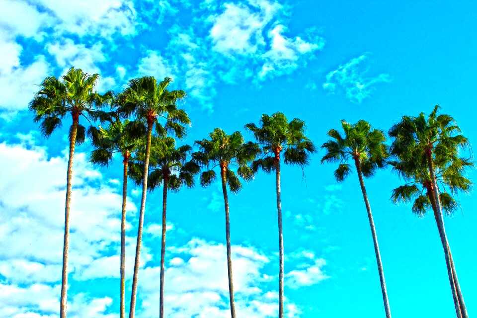 Sky blue beach