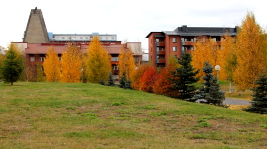 Meri-Toppila Park Oulu 20131005 03