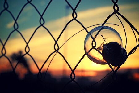 Morning nature bulb
