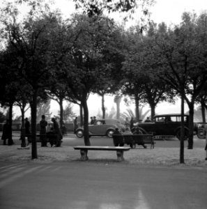 Mensen op bankjes met langs de kant geparkeerde auto's in het park op de Pincio, Bestanddeelnr 191-1275