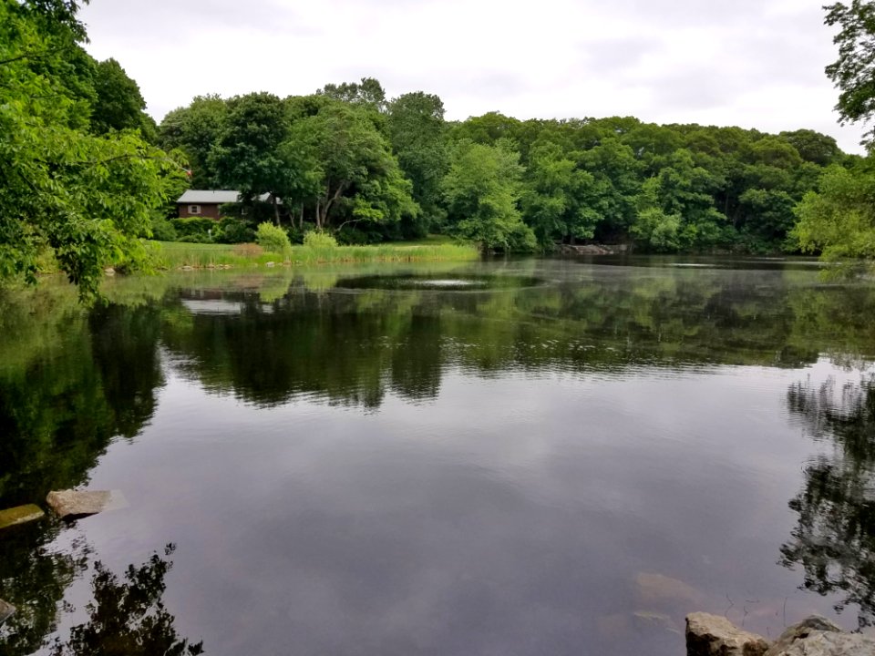 Menotomy Rocks Park 3