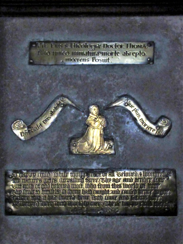 Memorial brass, Brightling