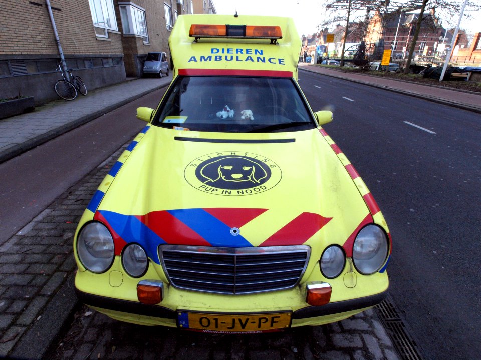 Mercedes Dierenambulance 'Pupielance', Amsterdam, The Netherlands pic3