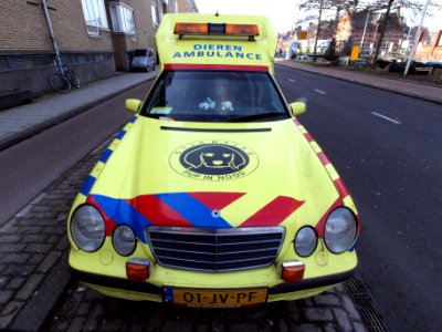Mercedes Dierenambulance 'Pupielance', Amsterdam, The Netherlands pic3