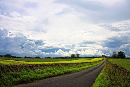 Summer landscape country photo
