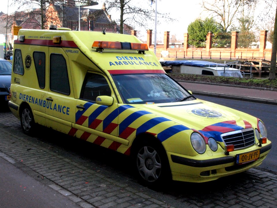 Mercedes Dierenambulance 'Pupielance', Amsterdam, The Netherlands pic1