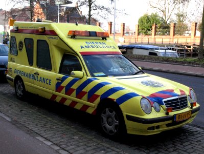 Mercedes Dierenambulance 'Pupielance', Amsterdam, The Netherlands pic1
