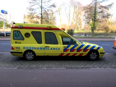 Mercedes Dierenambulance 'Pupielance', Amsterdam, The Netherlands pic2