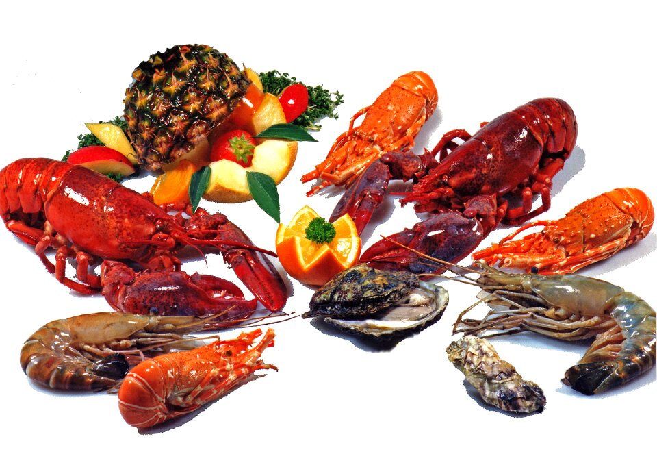 Shellfish lobster fresh