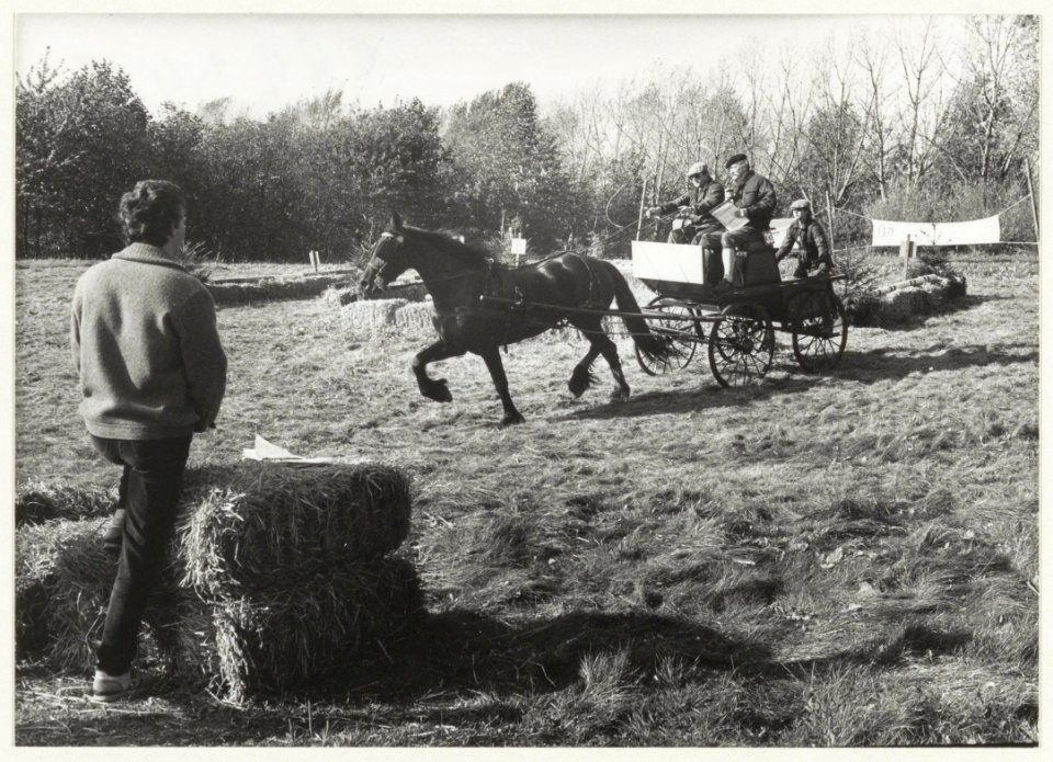 Menwedstrijd voor paard en wagen bij de manege in recreatiegebied Spaarnwoude., NL-HlmNHA 54020773