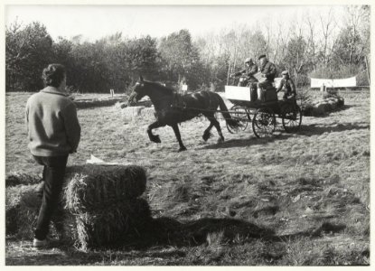Menwedstrijd voor paard en wagen bij de manege in recreatiegebied Spaarnwoude., NL-HlmNHA 54020773