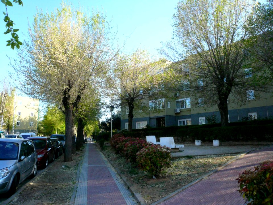 Mejorada del Campo 003