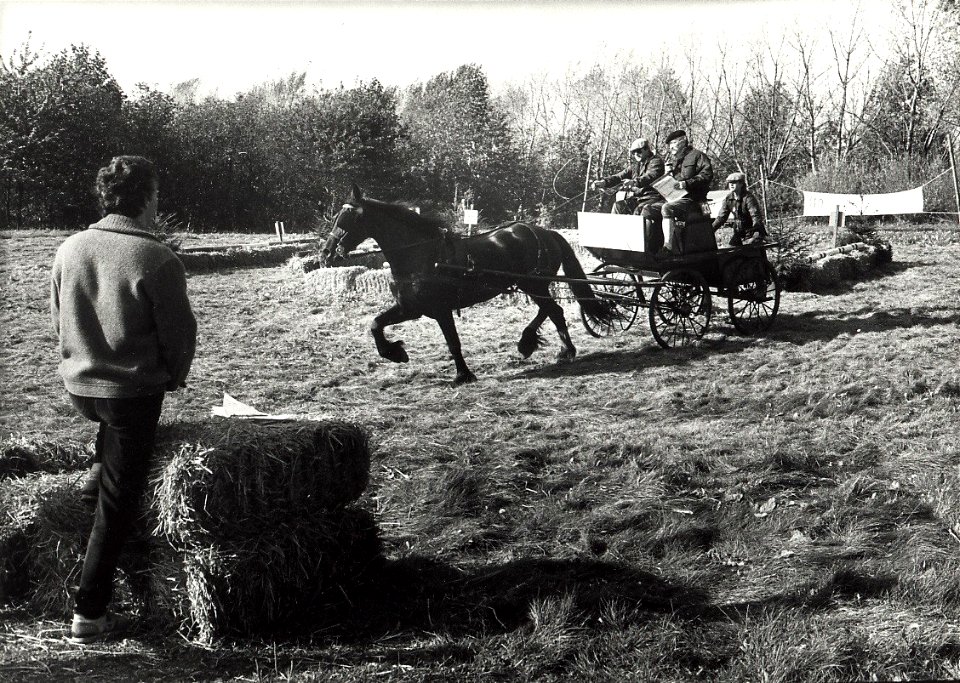 Menwedstrijd voor paard en wagen bij de Manege in Spaarnwoude. Aangekocht in 1988 van United Photos de Boer bv. - Negatiefnummer 28234 k 31 A. - Gepubliceerd in het Haarlems Dagblad van 12.10.1987. Id
