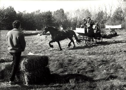 Menwedstrijd voor paard en wagen bij de Manege in Spaarnwoude. Aangekocht in 1988 van United Photos de Boer bv. - Negatiefnummer 28234 k 31 A. - Gepubliceerd in het Haarlems Dagblad van 12.10.1987. Id