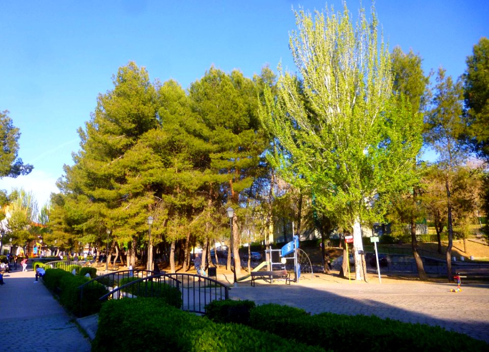 Mejorada del Campo - Parque de Miguel Hernández 03