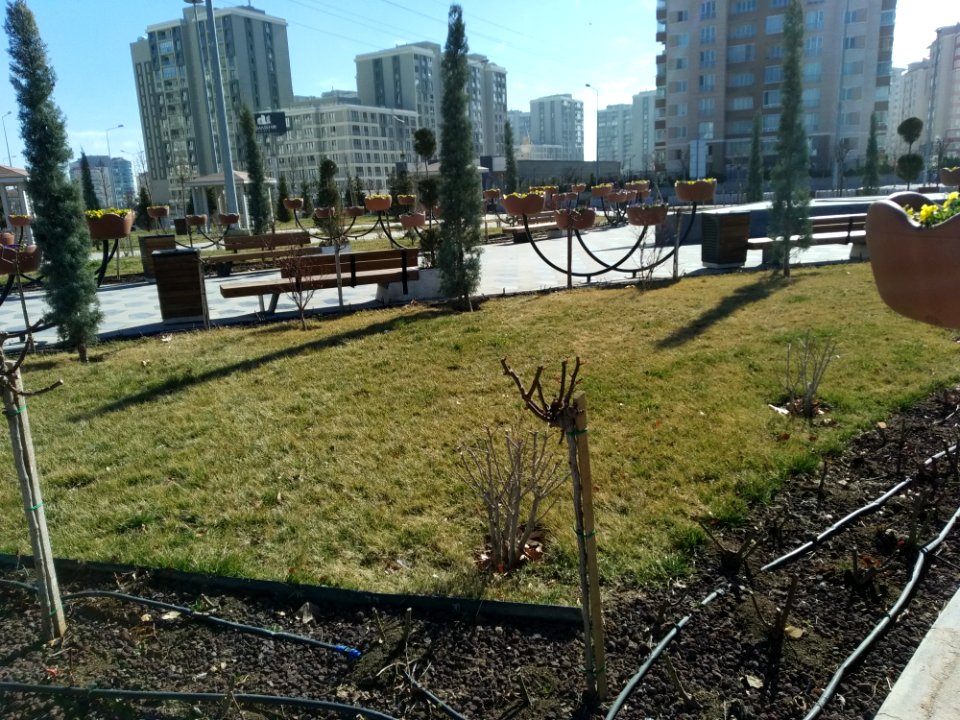 Meram'da park 2