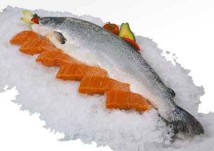 Salmon fillet fresh
