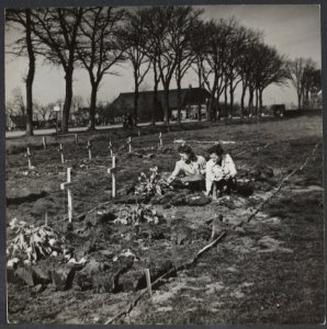 Meisjes van Eelderwolde (Drenthe) leggen bloemen op de graven van het voorlopige, Bestanddeelnr 30008 001