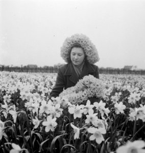 Meisje met narcissenhoed, Bestanddeelnr 904-5282
