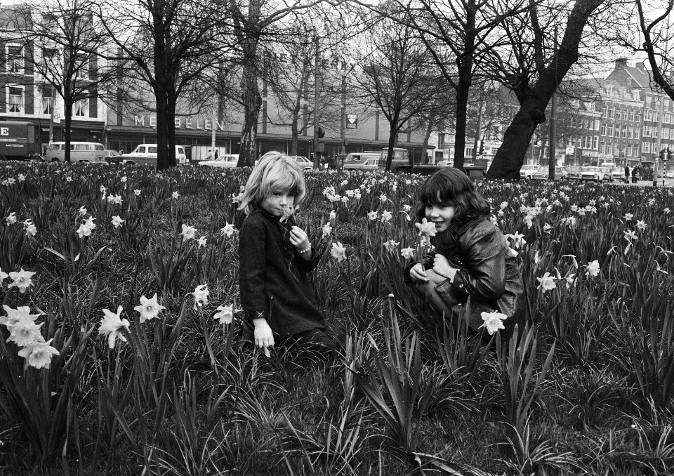 Meisjes tussen bloeiende narcissen, Bestanddeelnr 924-4300