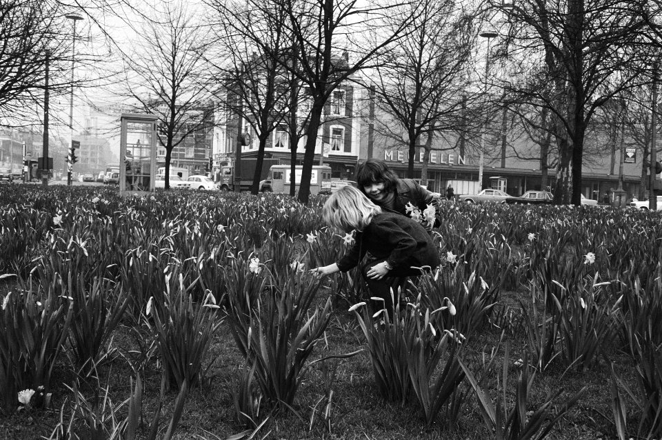 Meisjes tussen bloeiende narcissen, Bestanddeelnr 924-4303