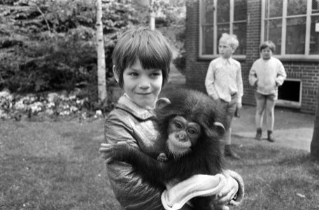 Meisje met jonge chimpansee, Bestanddeelnr 924-5518