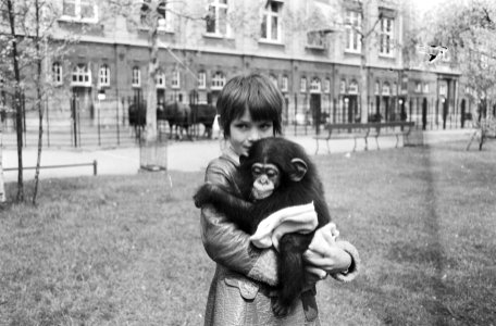 Meisje met jonge chimpansee, Bestanddeelnr 924-5519