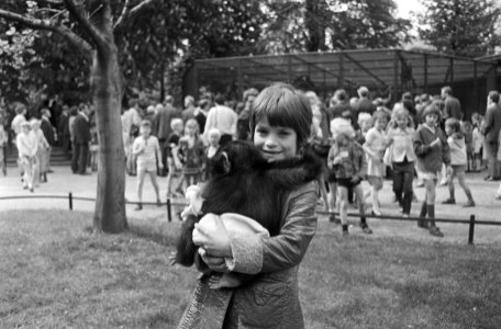 Meisje met jonge chimpansee, Bestanddeelnr 924-5520