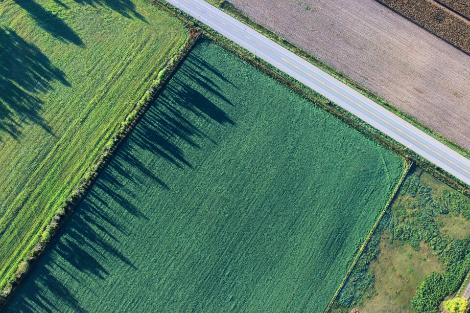 Farmland field grass land