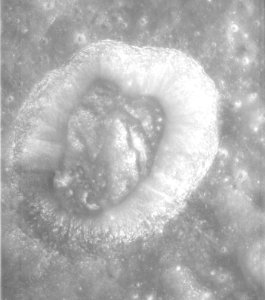 Meitner C crater AS15-P-9036