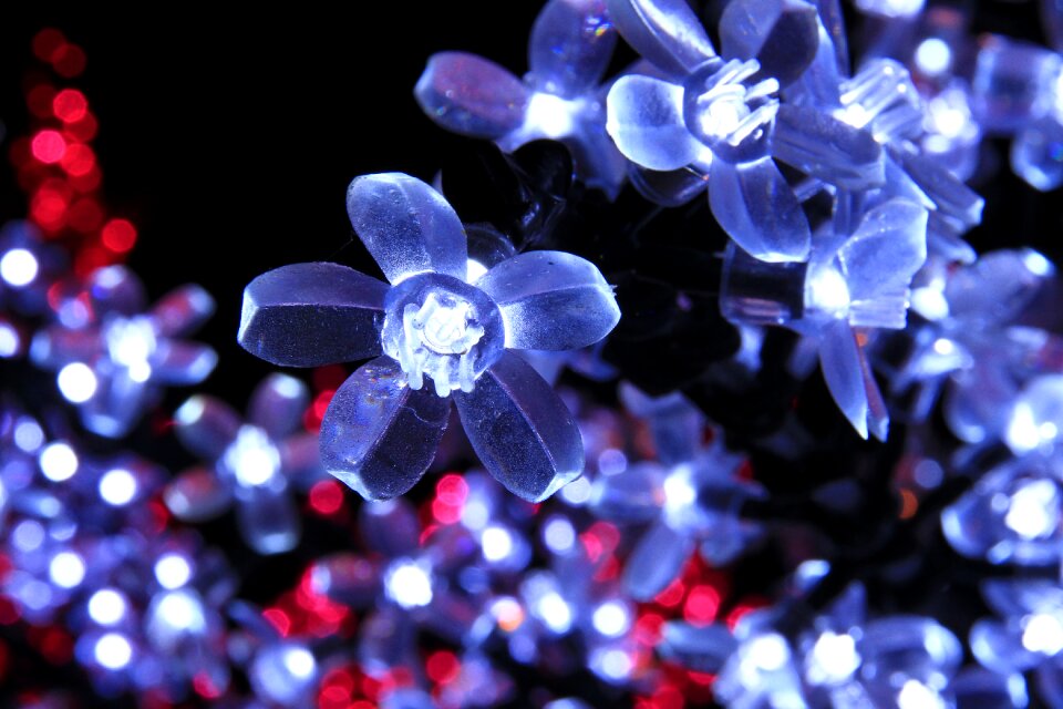 Neon colors christmas