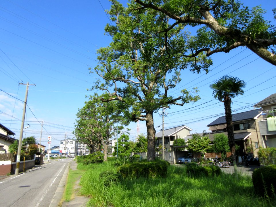 Meijigawa-Ryokudo-3
