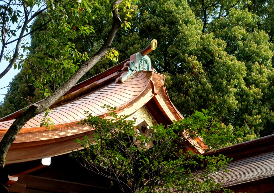 Meiji Shrine - Tokyo, Japan - DSC05456