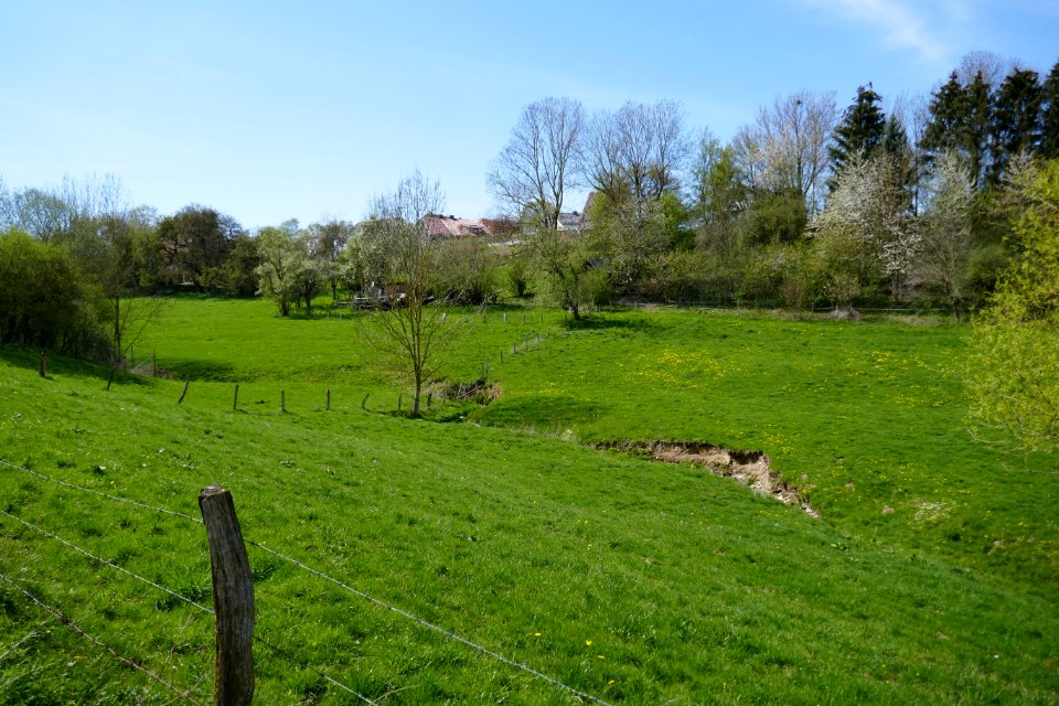 Meiste - Aschental - 1