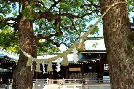 Meiji Jingu 005